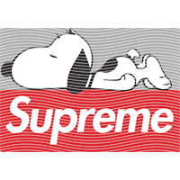 Brand Catalog-ZX 1025